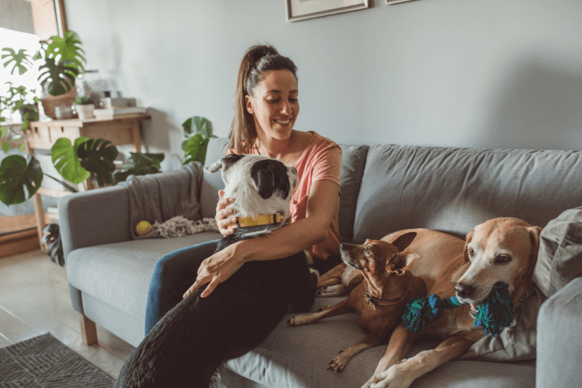 Pet Care 101: What to Expect When Hiring a Pet Caregiver